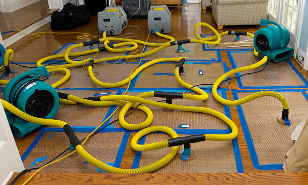 Professional Water Extraction technician working in East Rockaway, NY